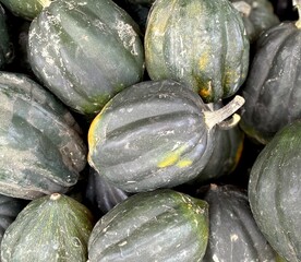 Closeup of green Acorn (Danish) winter squash