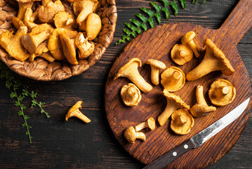 Wall Mural - Chanterelle forest mushrooms