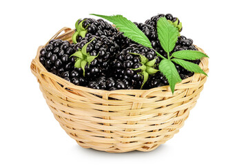 Canvas Print - blackberry with leaf in in a wicker basket isolated on a white background closeup.