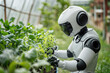 © Cla78 - Futuristic humanoid robot tending to young plants in a sustainable greenhouse garden