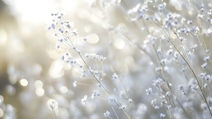 Poster - Soft, Blurred Background with Delicate White Flowers and Sunlit Bokeh