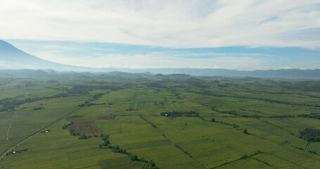 Wall Mural - Top view of sugarcane plantations in the tropics. Negros, Philippines