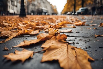 autumn leaves on the ground