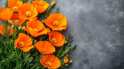 Wall Mural - On a gray background, orange flowers are displayed