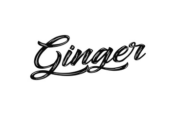 The name “Ginger” written in a stylized colorful retro font