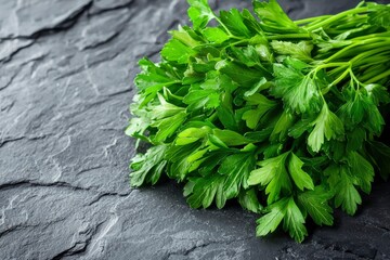 Wall Mural - Fresh Green Parsley Sprigs on Black Slate Surface