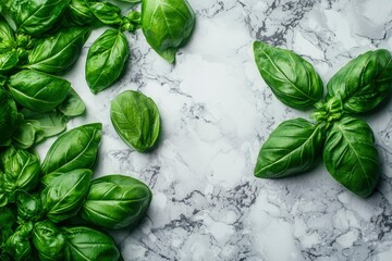 Sticker - Fresh Green Basil Leaves on Marble Surface