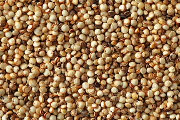 Close-up of Uncooked Red Quinoa Seeds