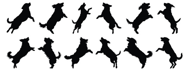 Dog silhouette set vector design big pack of dog illustration and icon
