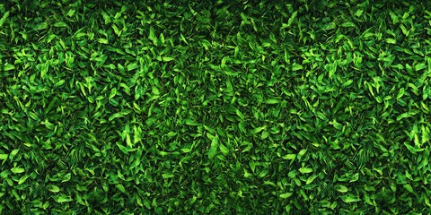 Wall Mural - Green grass top view background 