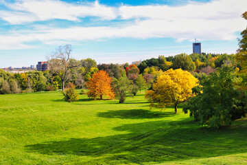 Wall Mural - Stunning views of the verdant gardens, contrasting with the yellows and red of the change of seasons to Fall seen here at the scenic Dominion Arboretum,Ottawa,Ontario,Canada 