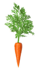 Wall Mural - Fresh ripe carrot with green leaves isolated on white