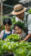 © Akharadat - Several Asian farmers working together in a hydroponics system on a vegetable farm. In a greenhouse garden, grandparents teach their grandchildren how to grow and care for organic lettuce vegetables.