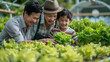 © Akharadat - Several Asian farmers working together in a hydroponics system on a vegetable farm. In a greenhouse garden, grandparents teach their grandchildren how to grow and care for organic lettuce vegetables.