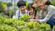 © Akharadat - Several Asian farmers working together in a hydroponics system on a vegetable farm. In a greenhouse garden, grandparents teach their grandchildren how to grow and care for organic lettuce vegetables.