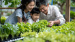 © Akharadat - Several Asian farmers working together in a hydroponics system on a vegetable farm. In a greenhouse garden, grandparents teach their grandchildren how to grow and care for organic lettuce vegetables.