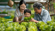 © Akharadat - Several Asian farmers working together in a hydroponics system on a vegetable farm. In a greenhouse garden, grandparents teach their grandchildren how to grow and care for organic lettuce vegetables.