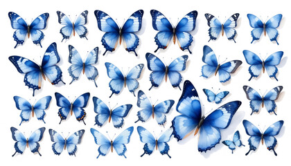 Wall Mural -  background olated drawings illustrations blue butterflies white watercolor cute hand butterfly butterfly watercolor isolated cute holiday card art illustration many-coloured drawing hand white