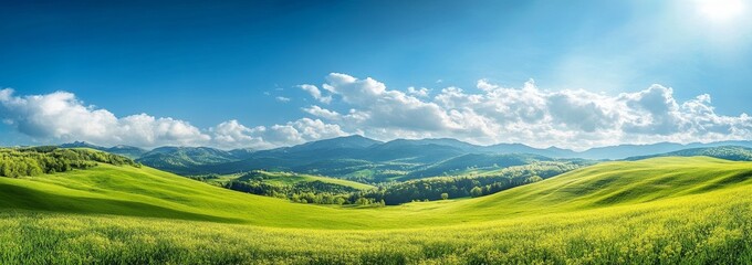 Wall Mural - rolling green hills with a field of yellow wildflowers in the foreground and a mountain range in the