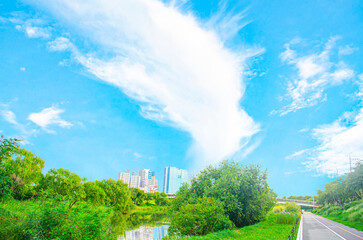 Wall Mural - City park on clear blue sky with a few clouds background. The sky is very bright and the clouds are scattered throughout