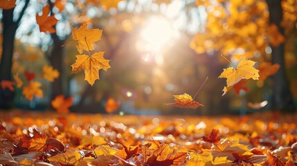 Poster - Red and yellow autumn leaves in sunny park. Generative AI.
