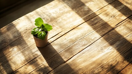 Poster - A rustic wooden plank table supports a small potted green plant, bathed in natural light that enhances the cozy atmosphere of the interior space