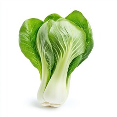 Wall Mural - Fresh bok choy isolated on a white background.