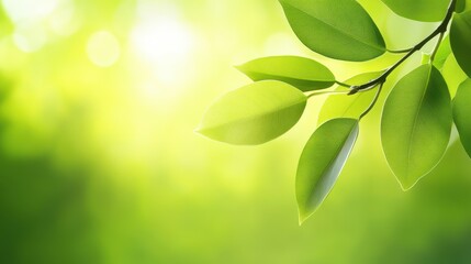 Poster - Bright, lush green background, evoking the fresh energy of spring. A natural and vivid backdrop for any creative project.