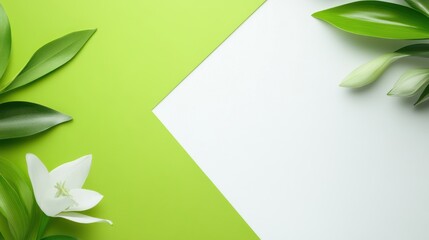 Poster - Crisp green and white background with a split design, offering a clean and modern look for fresh visuals.