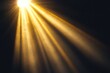 © Anjali - Sunlight overlay for design with transparent lens effect on black background