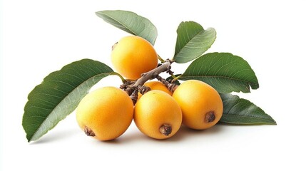 Wall Mural - Fresh Loquats with Green Leaves on White Background