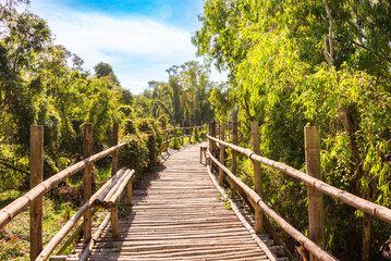 Wooden bridge in Vietnam among green tropical plants