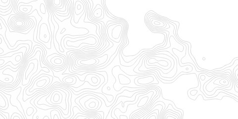 Wall Mural - The stylized height of the topographic map contour in lines and landscape isolated on transparent. Black and white topography contour lines map isolated on white background.