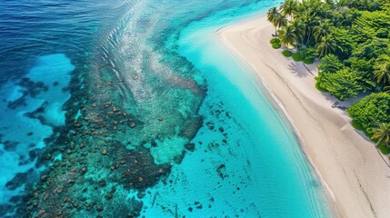 Sticker - Tropical Paradise: An Aerial View of a Pristine Beach