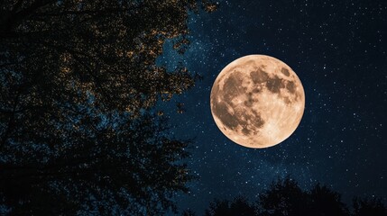 Wall Mural - full moon illuminating a night sky
