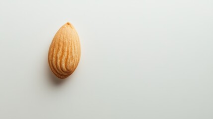 Canvas Print - Single Almond Nut on a White Surface