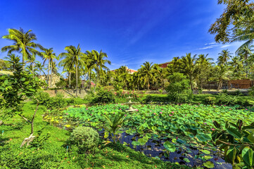 Palm Scenery at Mui Ne Resort, Mui Ne, Vietnam