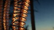 © Kasper - A close-up of a glowing human spine against a serene backdrop.