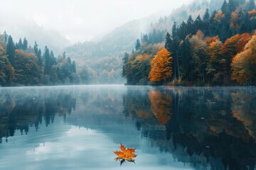 Poster - A single leaf rests on the shore of a calm lake, surrounded by nature