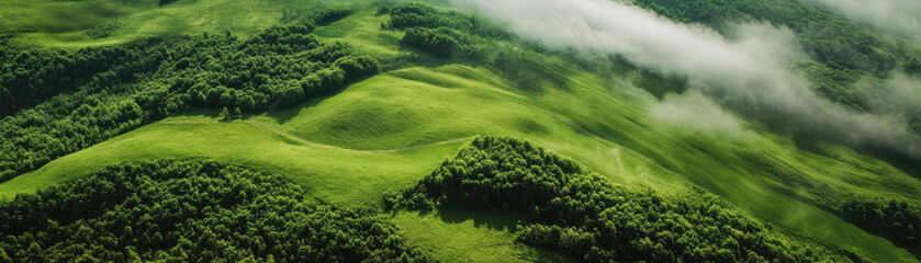 Canvas Print - Lush green hills covered in trees, with a misty atmosphere creating a serene and tranquil landscape.