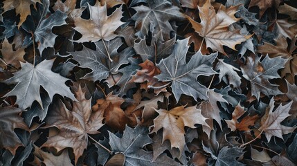 Canvas Print - A close-up of frost-covered leaves on the ground