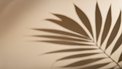 Wall Mural - Palm leaves shadow on beige background, freeze motion