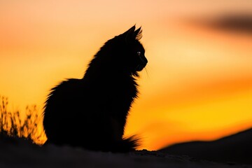 Sticker - Black Cat Silhouetted Against a Vibrant Sunset