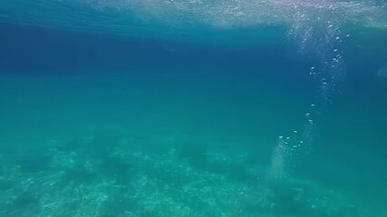 Wall Mural - Underwater slow motion bubbles moving to surface