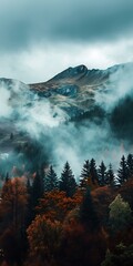 Wall Mural - Mountain Range Covered in Fog with Trees