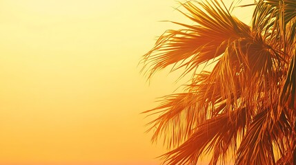 Canvas Print - Palm Tree Leaves Against a Yellow Sunset Sky