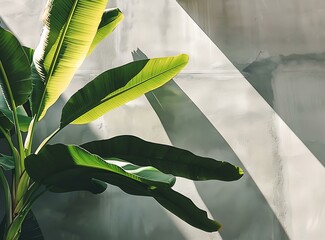 Poster - Green Tropical Leaves Against a Grey Wall with Light and Shadow