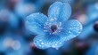 © julija - surreal closeup of an ethereal blue flower with gossamer petals dreamy bokeh background with soft focus dewdrops creating an otherworldly botanical fantasy