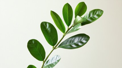 green stem, tropical leaves. generative ai