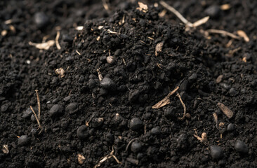 close-up of black soil texture, rich and muddy earth background